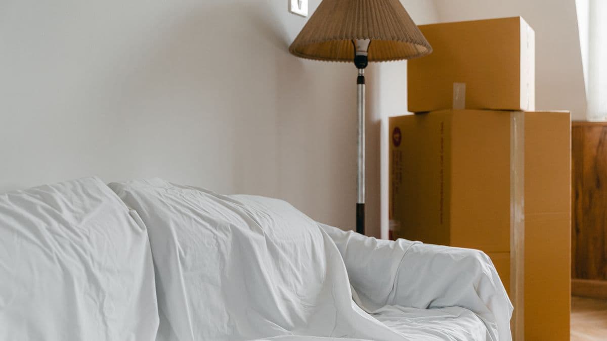 Move-Out Carpet Cleaning: Get Your Deposit Back