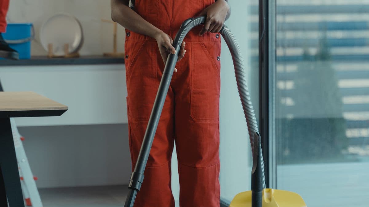 Is Professional Carpet Cleaning Worth It?